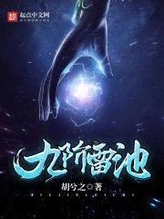 九阶雷池封面