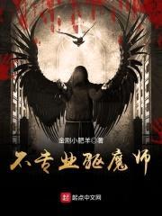 不专业驱魔师封面