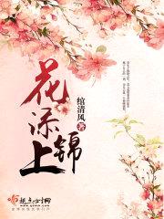花添锦上封面
