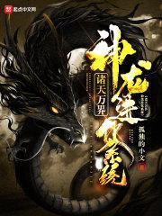 诸天万界神龙进化系统封面