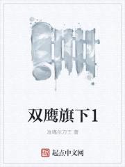 双鹰旗下1封面