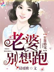 至尊宠婚：老婆别想跑封面