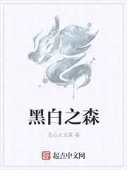 黑白之森封面
