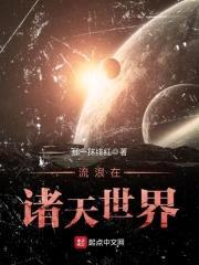流浪在诸天世界封面