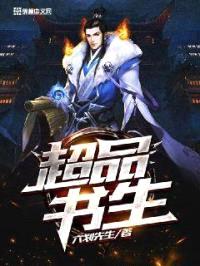 超品书生封面