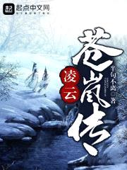 凌云，苍岚传封面