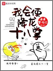 我会使降龙十八掌封面