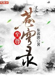 至尊苍穹录封面