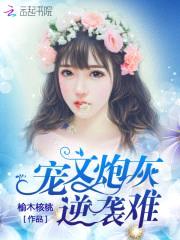 宠文炮灰逆袭难封面