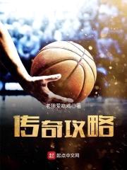 传奇攻略封面