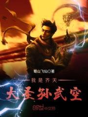 我是齐天大圣孙武空封面