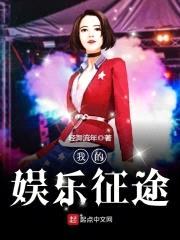 我的娱乐征途封面