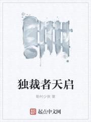 独裁者天启封面
