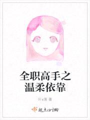 全职高手之温柔依靠封面