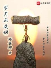 岁月与文明封面