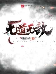 无道无敌封面