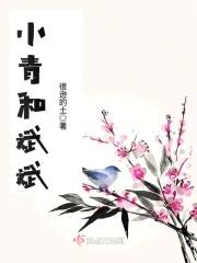 小青和斌斌封面