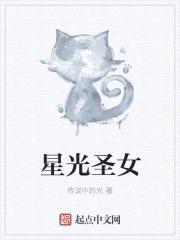 星光圣女封面