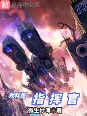 我就是指挥官封面
