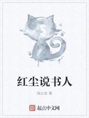 红尘说书人封面