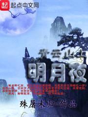青云山上明月夜封面