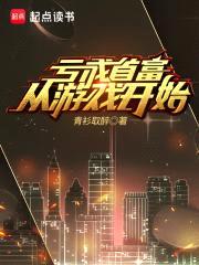 亏成首富从游戏开始封面