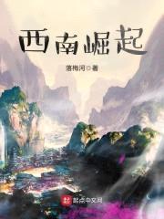 西南崛起封面