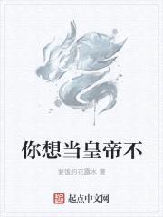 你想当皇帝不封面