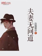 夫妻无间道封面