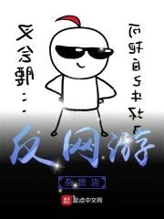 反网游杂货店封面