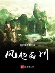 风起西川封面