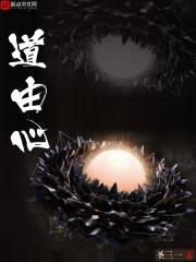 道由心封面