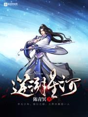 逆溯星河封面