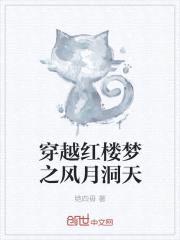穿越红楼梦之风月洞天封面