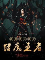 暗黑破坏神之猎魔王者封面