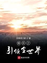 娱乐之引领全世界封面