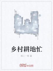 乡村耕地忙封面