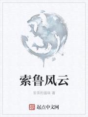 索鲁风云封面