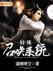 特殊召唤系统封面