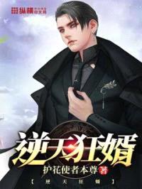 逆天狂婿封面
