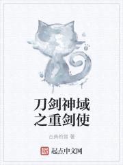 刀剑神域之重剑使封面