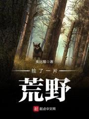 捡了一片荒野封面