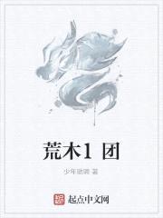 荒木1团封面