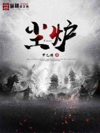 尘炉封面