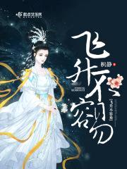 飞升不容易封面