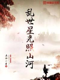 乱世星光照山河封面