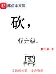 砍，怪升级封面