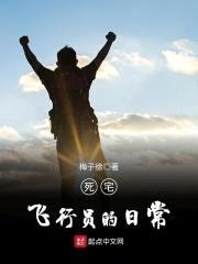 死宅飞行员的日常封面