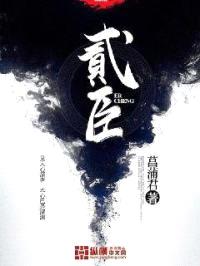 贰臣封面
