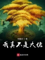 我真不是大佬封面